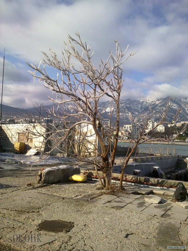 Черное море... замерзло!