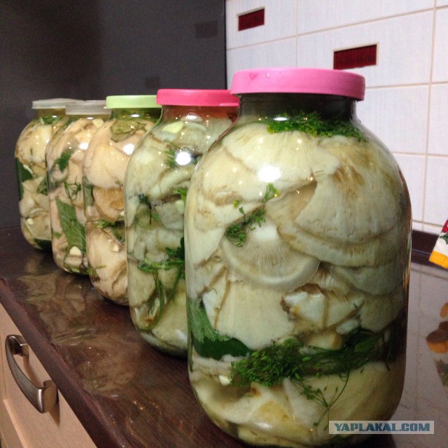 Насобирали? теперь чистим