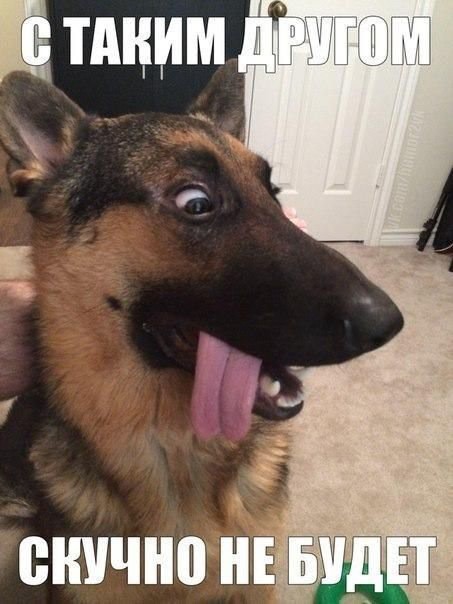 Убью скуку! А кто сразу правильно прочитал? :)))