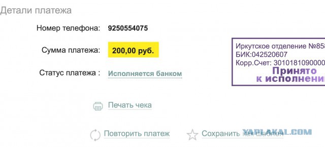 Мигрант нашёл "кашелки" и вернул хозайке
