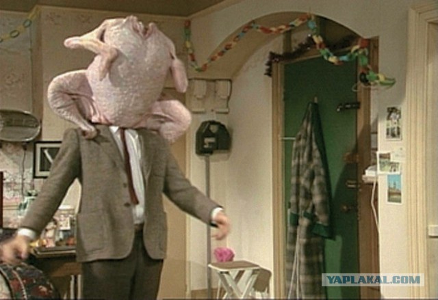 Подборка животных, которых застали за трапезой