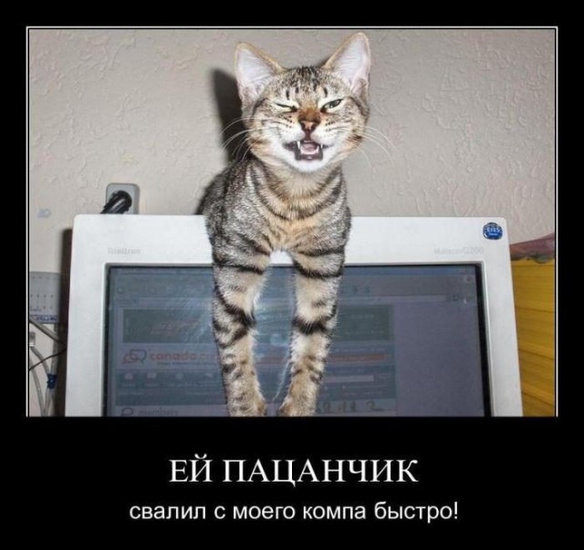 Подборка картинок