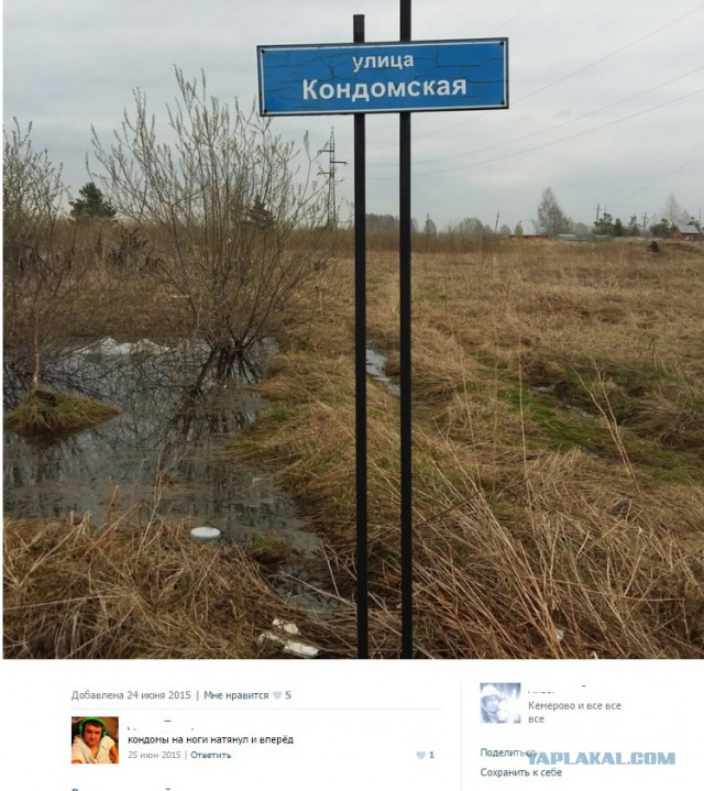 Картинки из ваших интернетов, 18+