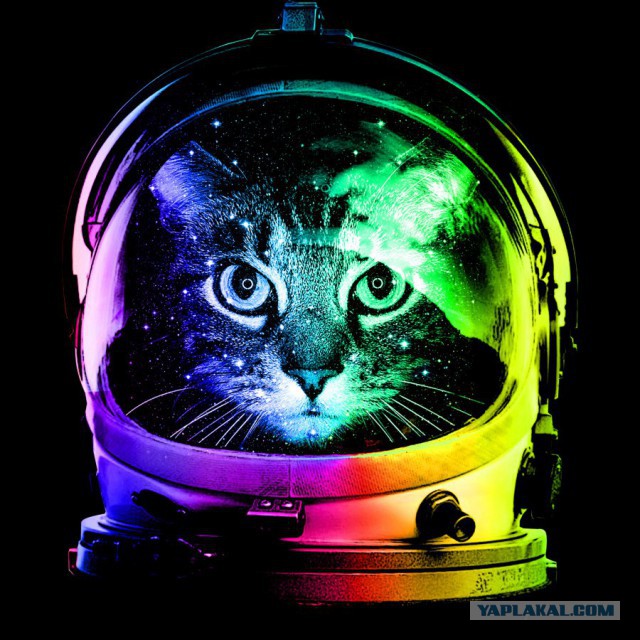 НестандART v. 14.0
