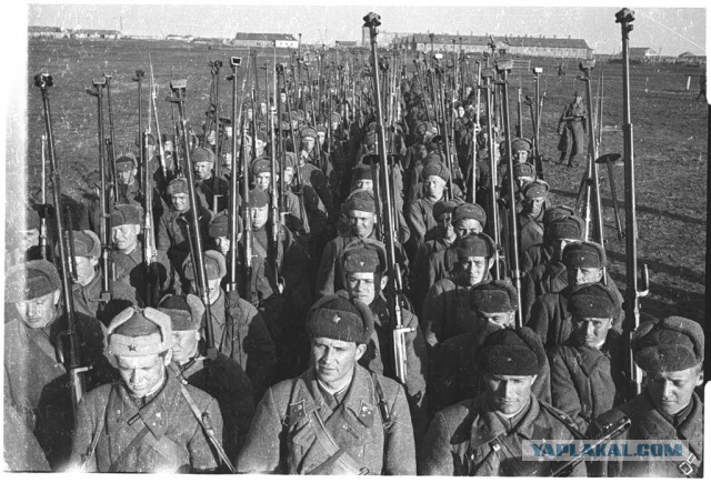 Наглядно и доходчиво: недавшее прошлое человечества в фотографиях