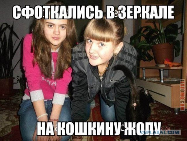 Остаться в вечности...Котаны, которые заняли достойное их место на фото.