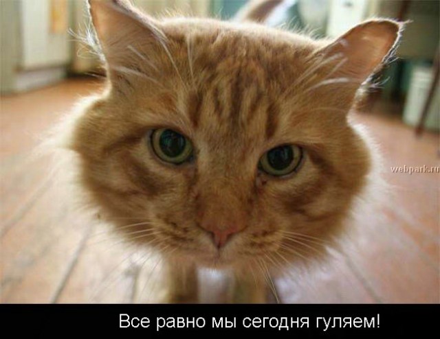 Суббота - рабский день!