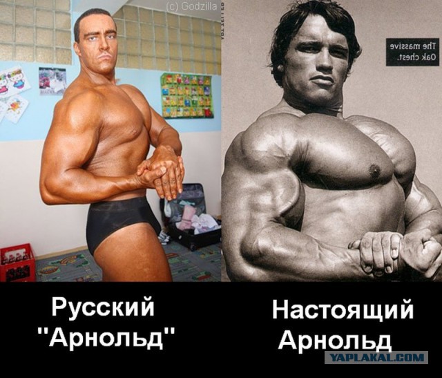 10 неожиданных фактов об Арнольде Шварценеггере
