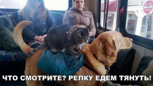 Подборка интересных и веселых картинок