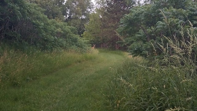 Просто Природа