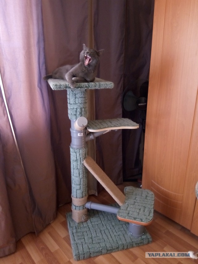 Котомайзинг