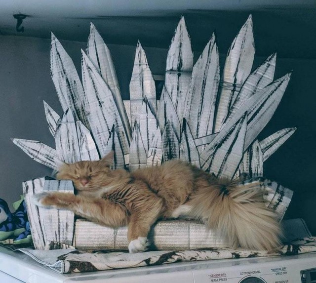 Прикольных котов пост