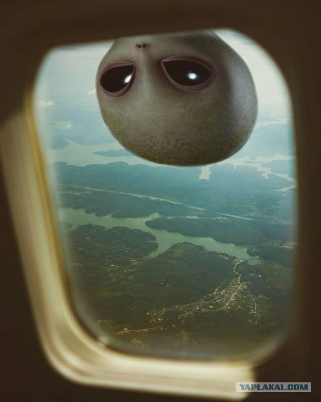 Лёгкое психическое отклонение ч7. Картинок пост 16+