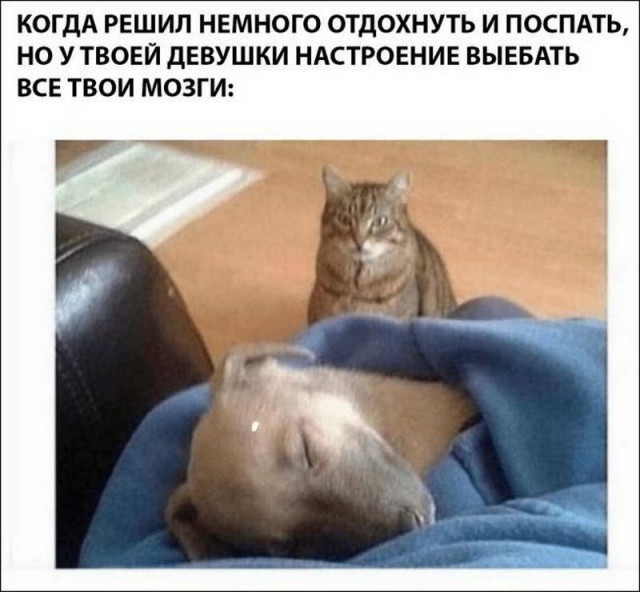 Немного картинок в эту пятницу