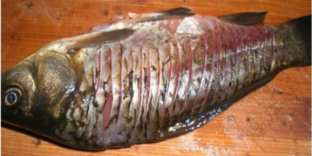 Кулинарная общалка