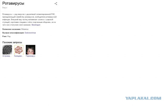 Бабы дуры