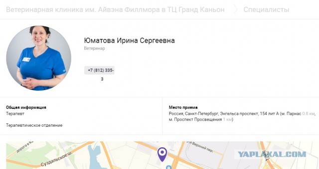 Помогите вернуть кота! Приют "Преданное сердце" украл кота и не отдает!-2