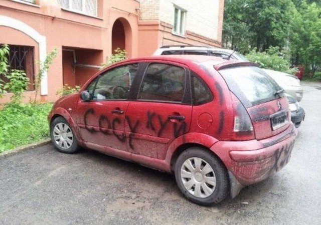 Бредзона из картинок