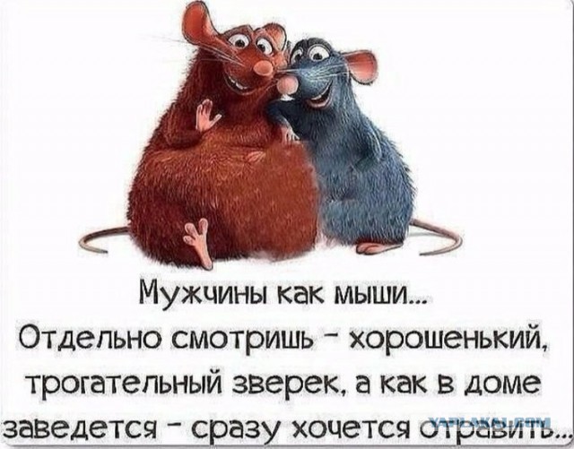 Забавные шутки, картинки и фразы из этих ваших интернетов