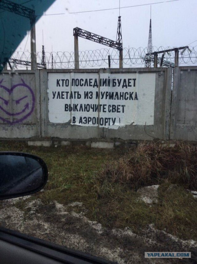 Картинки ниАчем