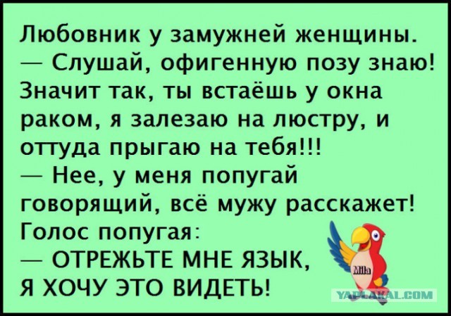 Купили попугая с рук