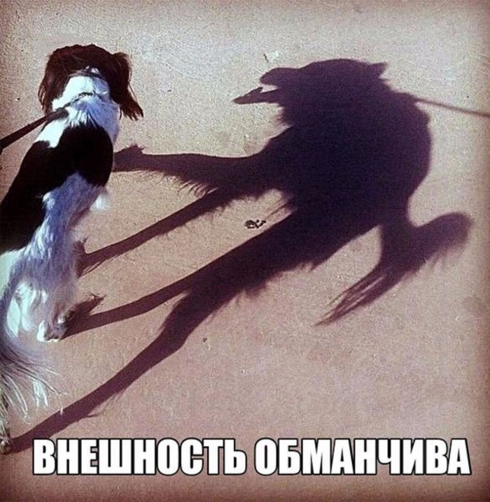 Чуток картинок 21.02.20