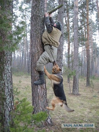 Фотожаба: Охотник и его верный пес