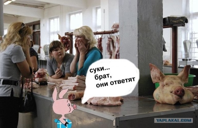 ФОТОЖАБА: Мясной рынок