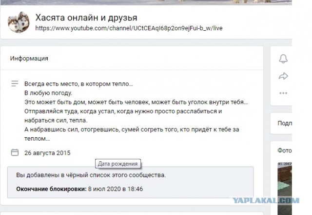 «За пять минут 50 гусей перегрызла»: челябинский охотник, застреливший хаски, рассказал свою версию