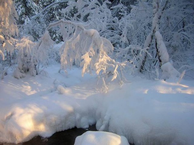 Фотожаба: Подарок 2009