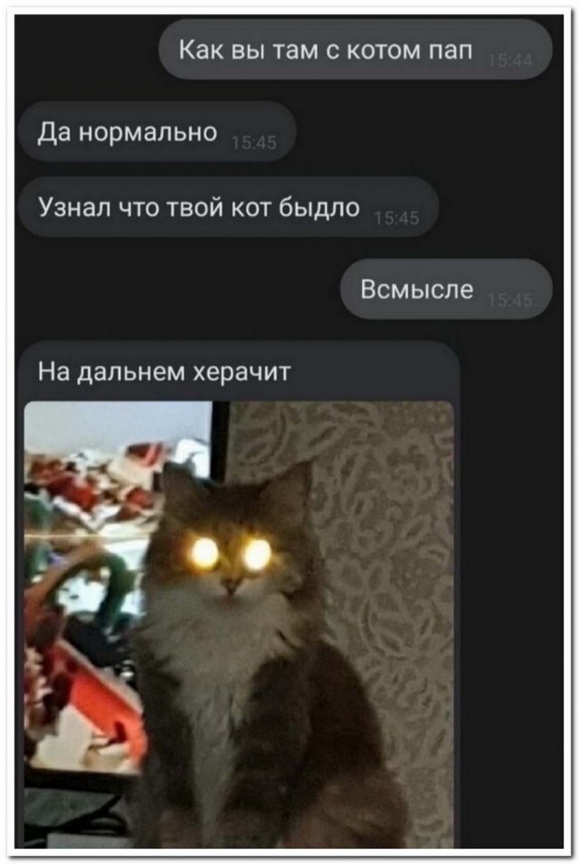 Чуток картинок 03.07.20