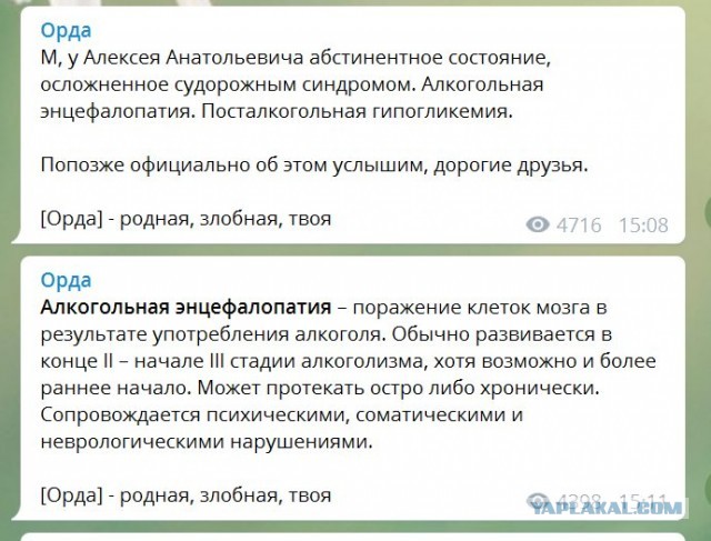 Навальному удалось покинуть Омск: самолет летит в Германию