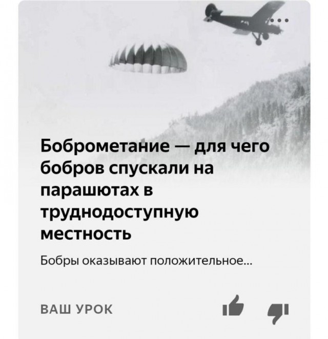 Раньше заголовками отжигала газета "Спидинфо". Теперь этот "жанр" подхватил яндекс-дзен