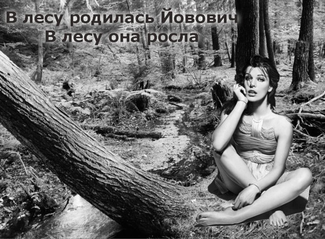 Фотожаба: Игра слов