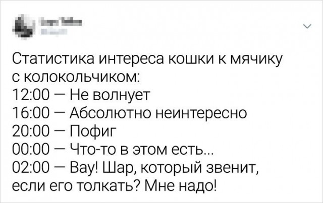 Калейдоскоп картинок