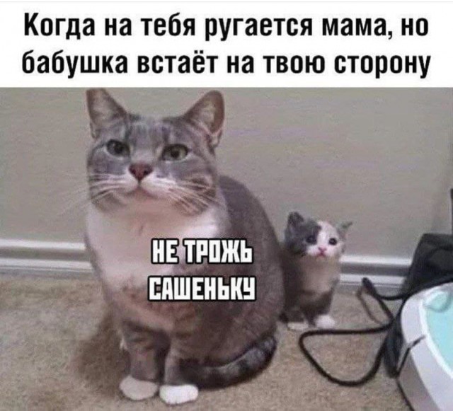 Фото дня