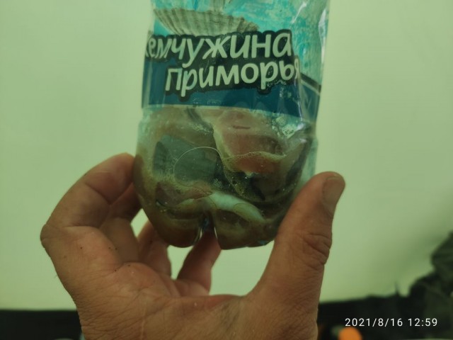 На краю света