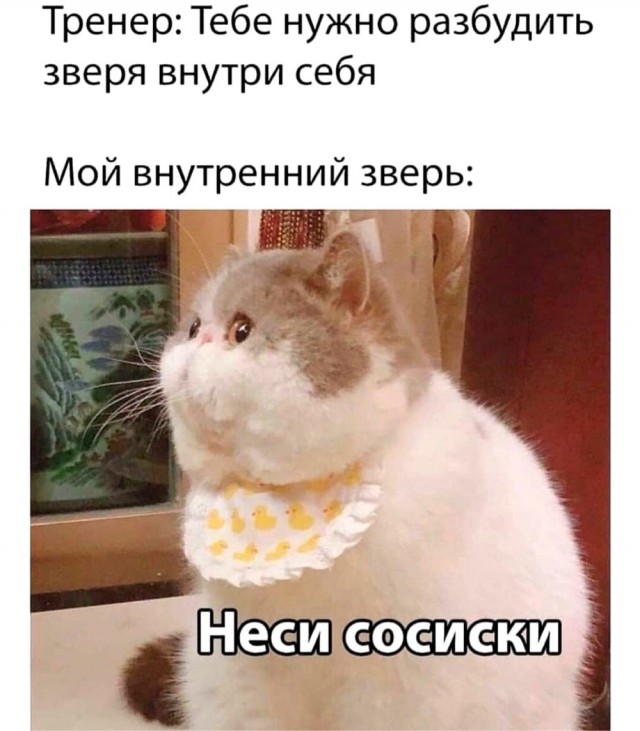 Юмор и прикольные картинки 18.10.2021