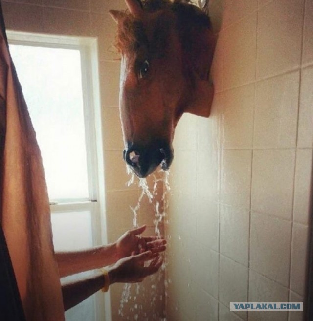 "Шедевры" дизайна