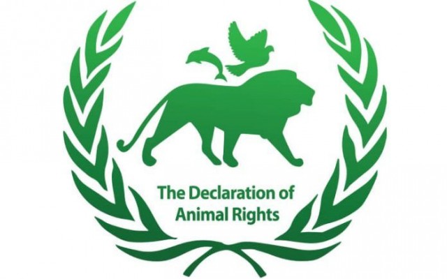 Топ громких расправ над живодёрами