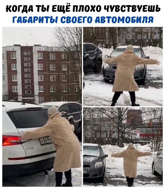 Так себе картинки 11.02.22