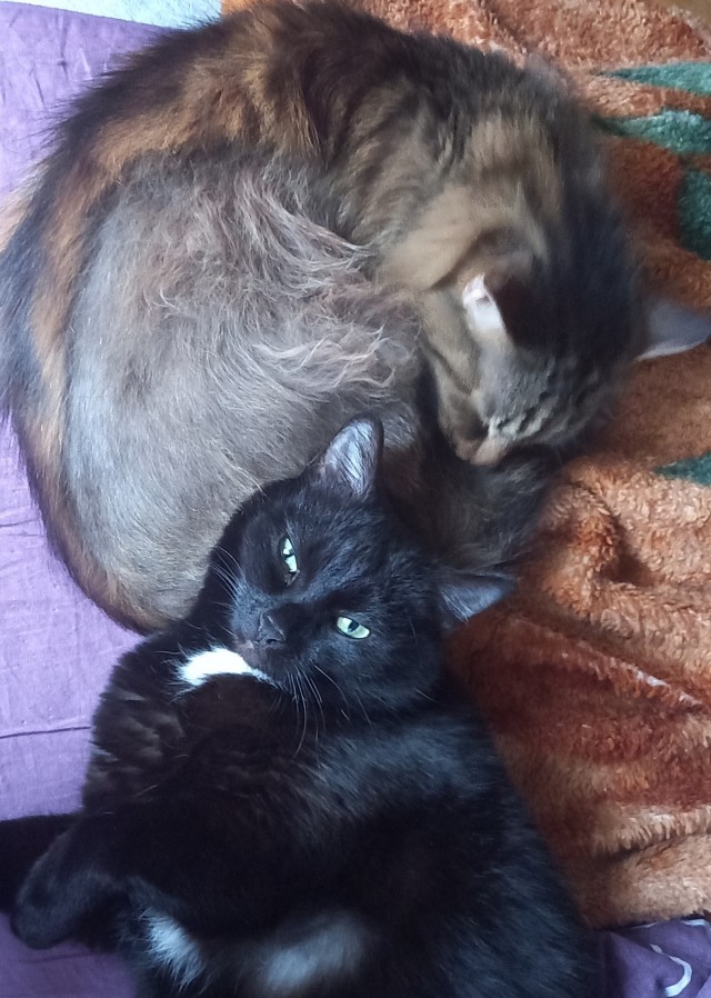 Ну, поехали в котоввторник!