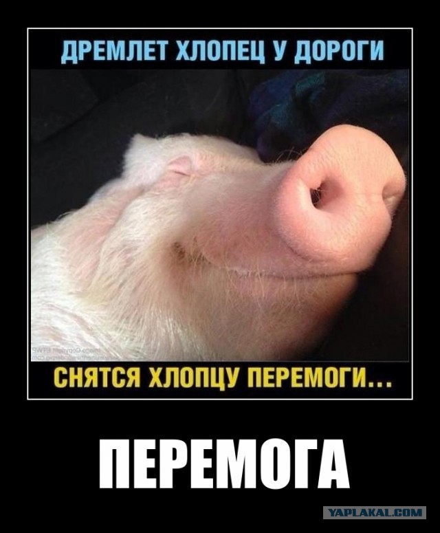 Минфин впервые исполнил обязательства по еврооблигациям в рублях