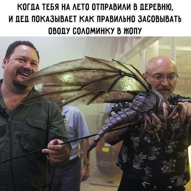Весёлый полтишок 14.04.22