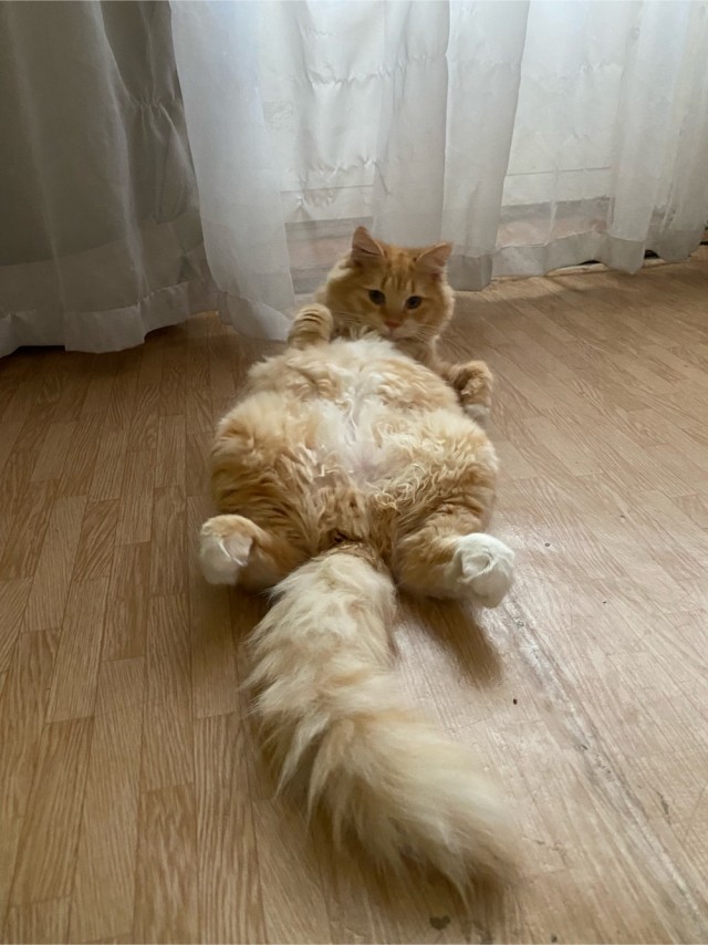 Гаражный грязный Гаря