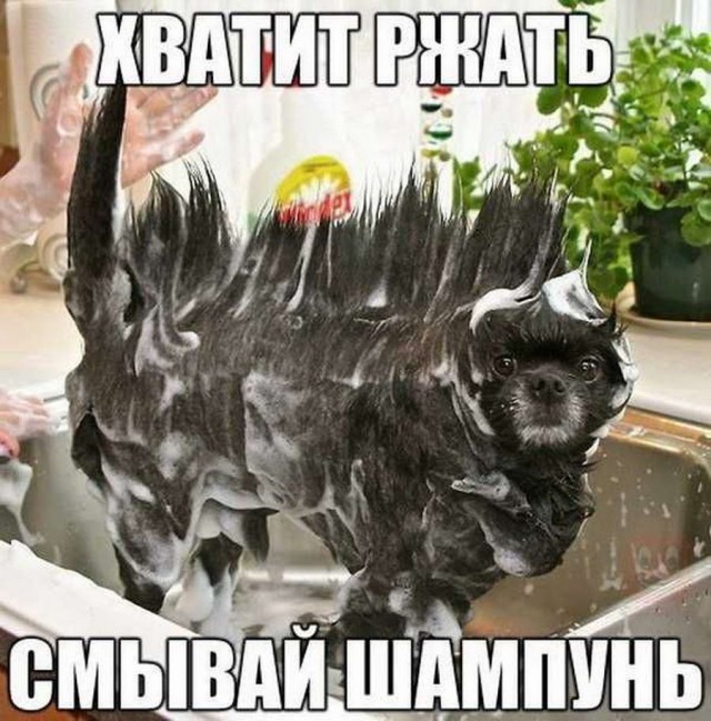 50 оттенков серого. Vol.3 Или самосвал баянов