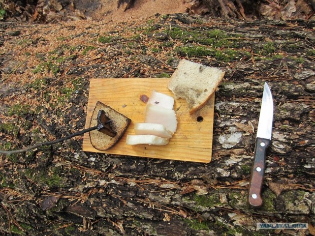 Сало - сила!