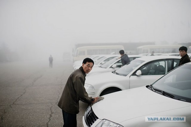 Северная Корея "в цвете"