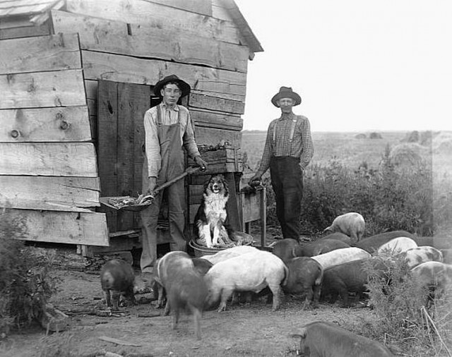 Редкие фотографии с более чем 100 летней историей