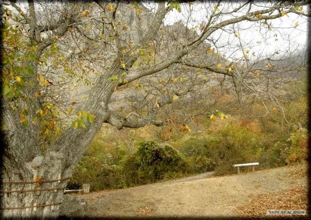 Крым. Южный Демерджи. Вершина.